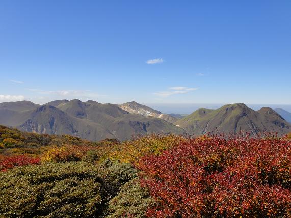 e0164643_1722549.jpg