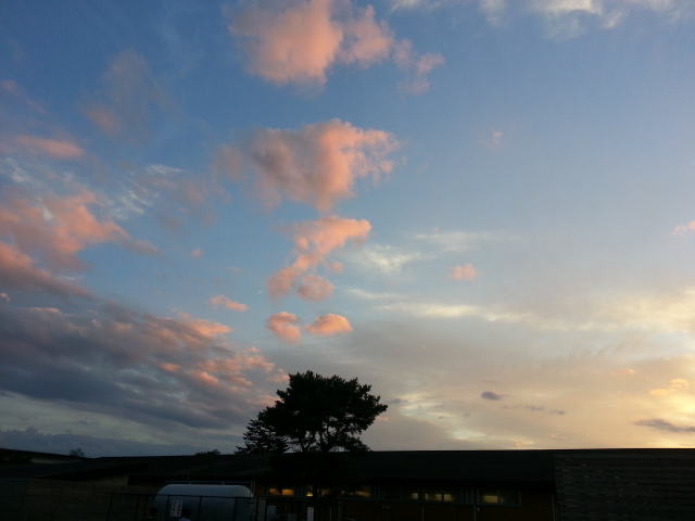 c0071545_91094.jpg