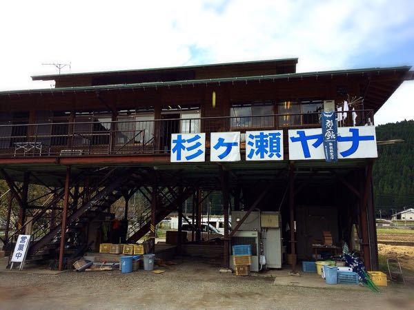 杉ヶ瀬ヤナ_e0292546_11264920.jpg