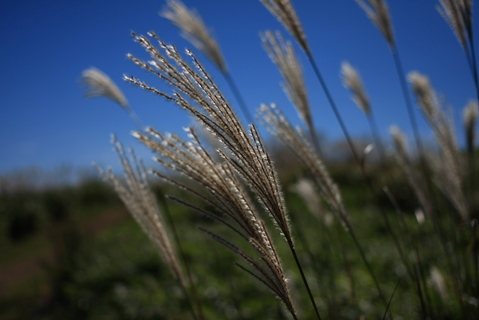 c0193648_16392599.jpg