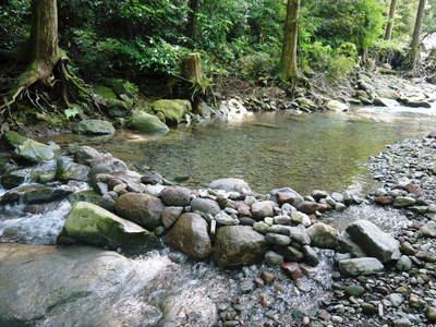 リューバ―ダムが・・・。山奥の川はこの時期干上がっています!_a0254656_1740263.jpg