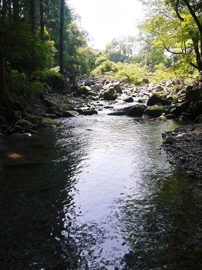 リューバ―ダムが・・・。山奥の川はこの時期干上がっています!_a0254656_18151710.jpg