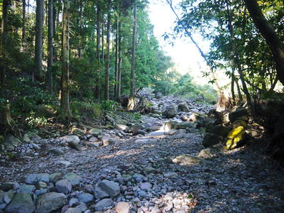 リューバ―ダムが・・・。山奥の川はこの時期干上がっています!_a0254656_1837976.jpg