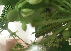 b0087556_01720.png