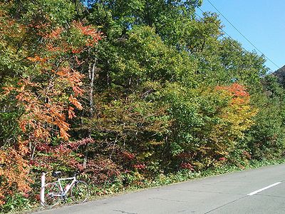 a0096557_1542210.jpg