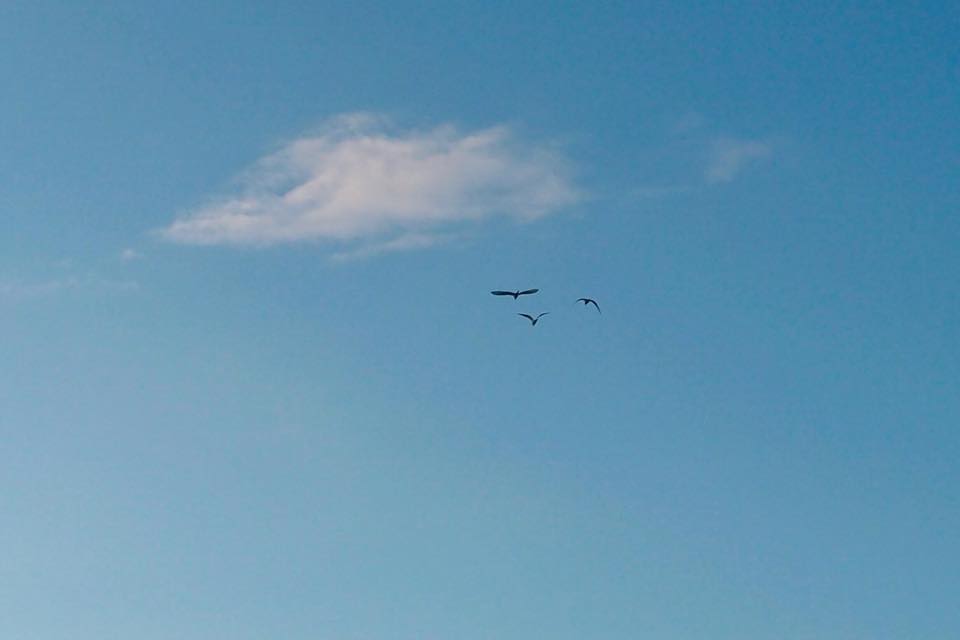 e0142357_2351711.jpg