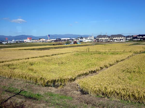 【10月の秋田旅行】②北上線(北上駅ー横手駅)_c0042960_14305892.jpg