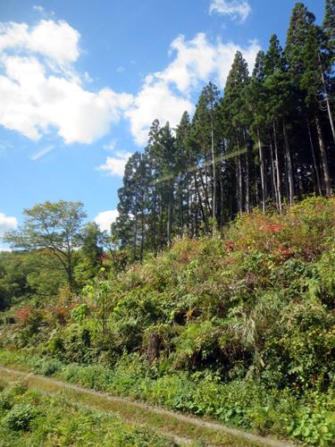 【10月の秋田旅行】②北上線(北上駅ー横手駅)_c0042960_1438377.jpg