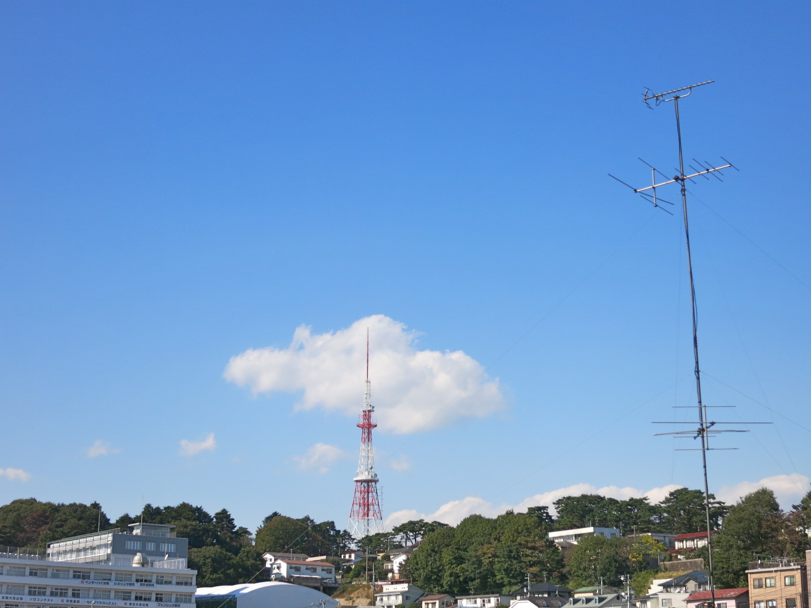 草むしりの休日_c0260460_14310715.jpg