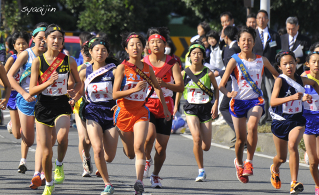 2014 横須賀市中学校 駅伝競走大会_d0251161_16314482.jpg