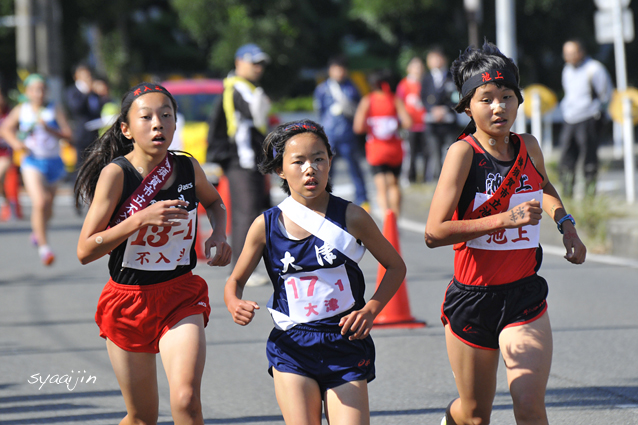 2014 横須賀市中学校 駅伝競走大会_d0251161_16513381.jpg