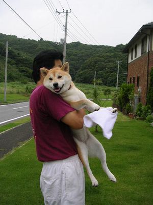 ’14,10,18(土)庭仕事と幸せな時間!_f0060461_1643586.jpg