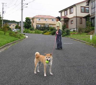 ’14,10,18(土)庭仕事と幸せな時間!_f0060461_1714894.jpg