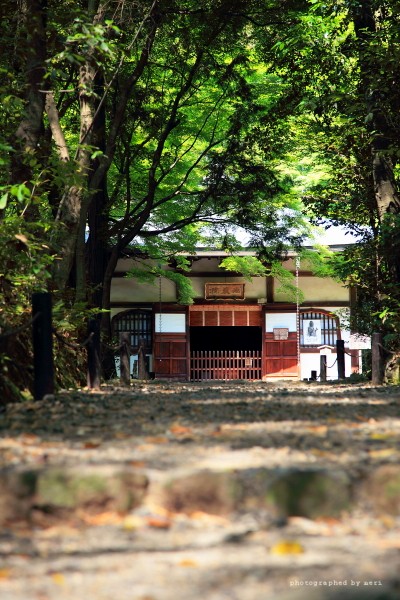 初夏/　竹の寺_f0251765_20364460.jpg