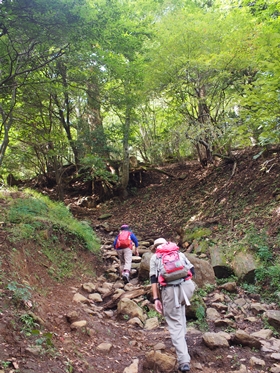 c0318376_23082159.jpg