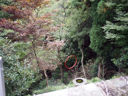 c0318376_23083742.jpg