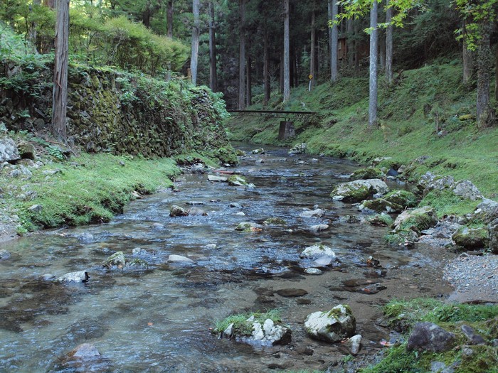 『飛騨金山　横谷峡の四つの滝』_d0054276_19343617.jpg