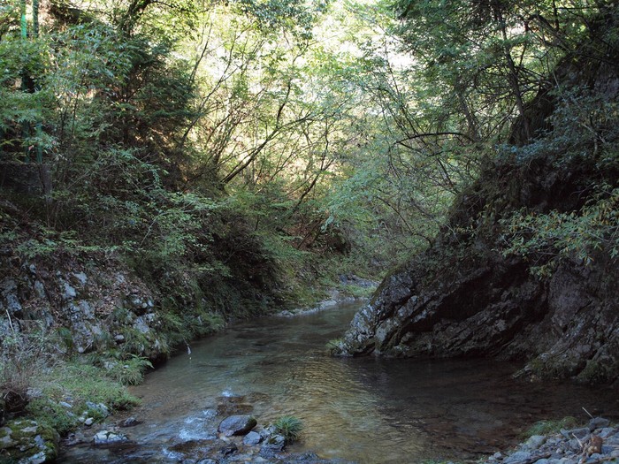 『飛騨金山　横谷峡の四つの滝』_d0054276_19351039.jpg