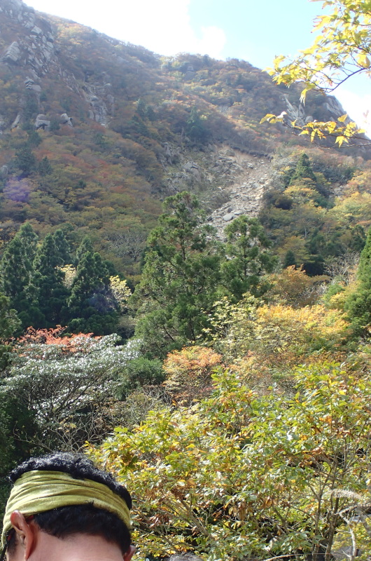 e0024081_09382977.jpg
