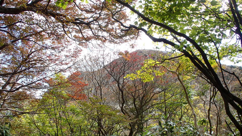 e0024081_09442021.jpg