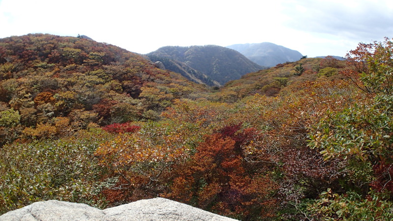 e0024081_10050457.jpg