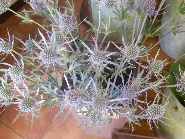 e0140986_17535459.jpg