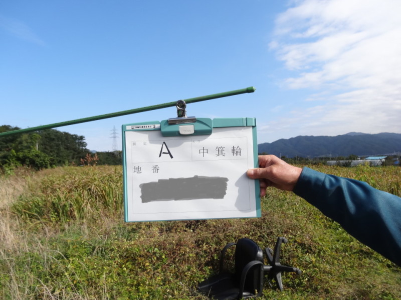 b0177596_21221566.jpg