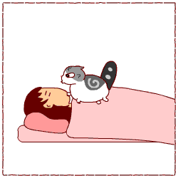 c0011300_13452342.gif