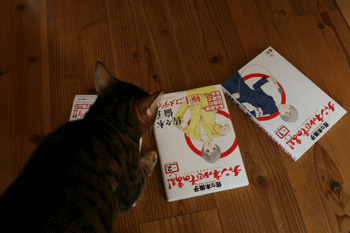 c0011300_13500719.gif