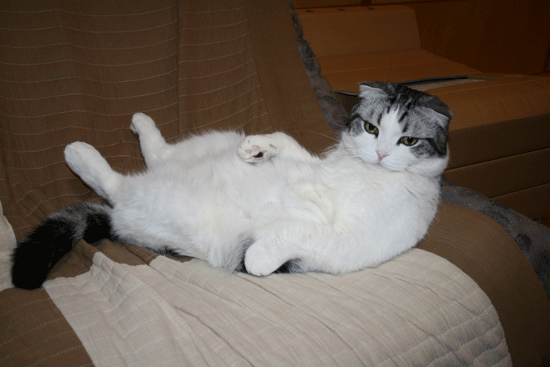 c0011300_13511349.gif