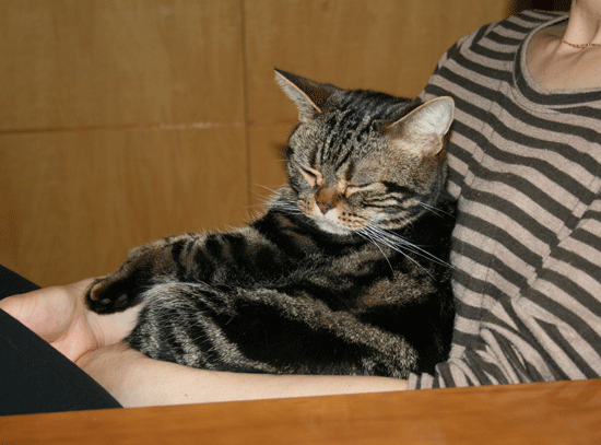 c0011300_13530269.gif
