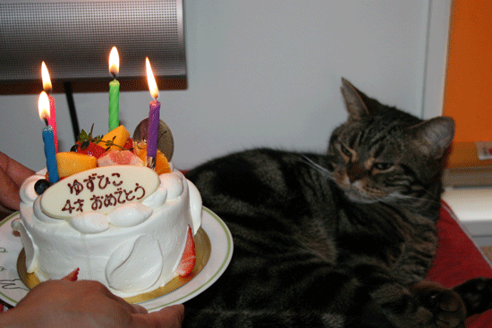 c0011300_13532878.gif