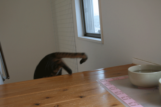 c0011300_13533919.gif