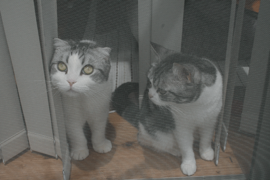 c0011300_13535605.gif