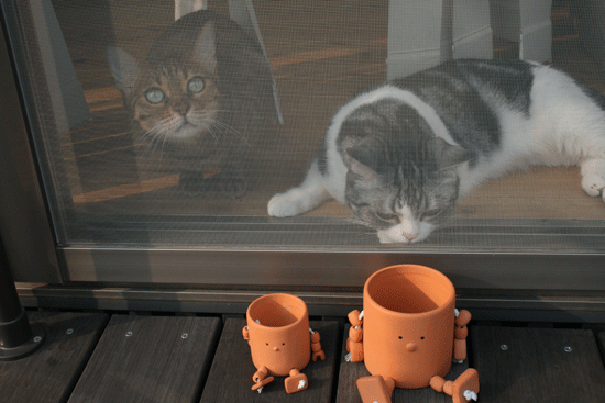 c0011300_13542937.gif