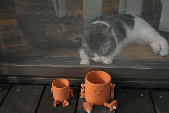 c0011300_13542994.gif