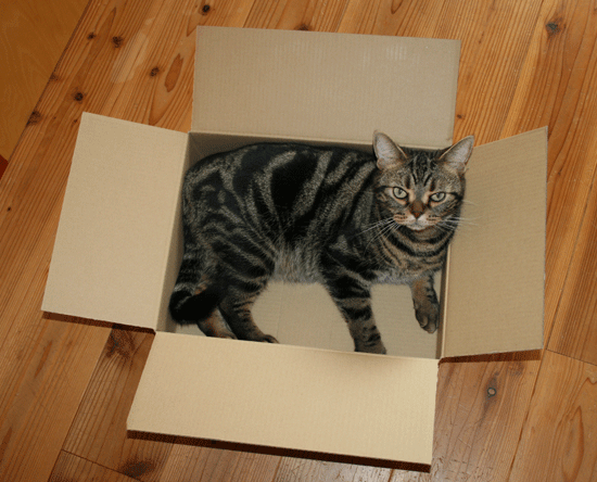 c0011300_13551503.gif