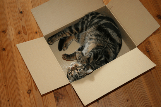 c0011300_13551616.gif