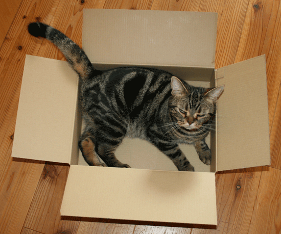c0011300_13551627.gif