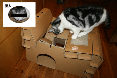 c0011300_13553300.gif