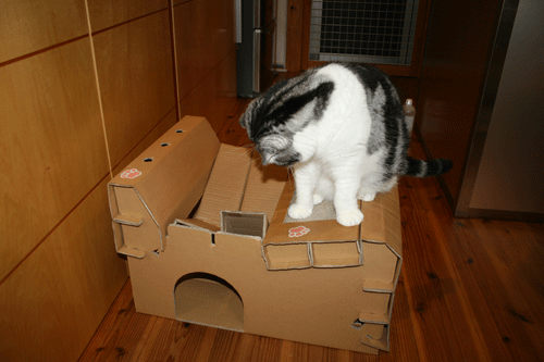 c0011300_13553424.gif