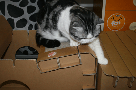 c0011300_13553660.gif