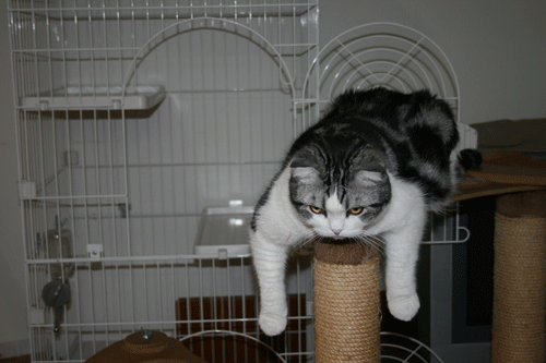 c0011300_13554389.gif