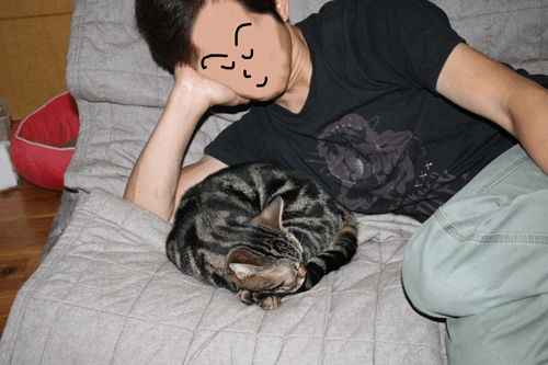 c0011300_13554433.gif