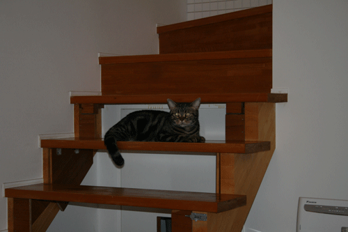 c0011300_13554628.gif