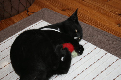 c0011300_13562102.gif