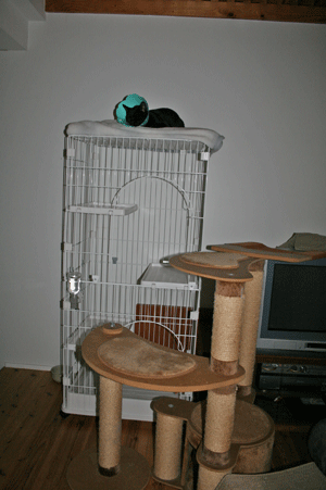 c0011300_13574900.gif