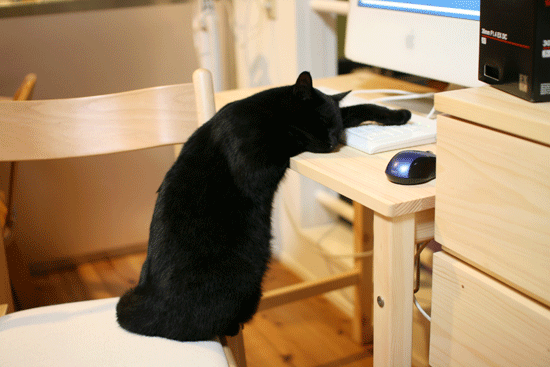 c0011300_13584899.gif