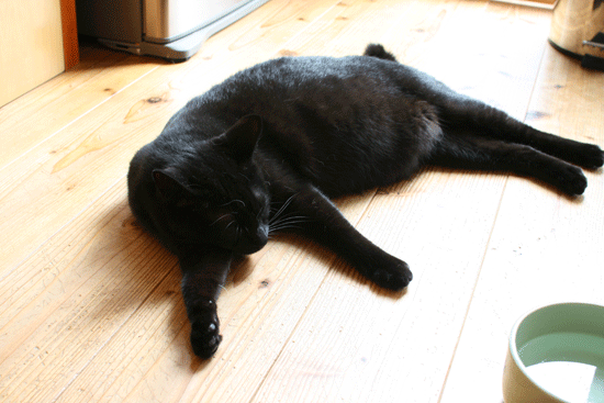 c0011300_14014344.gif