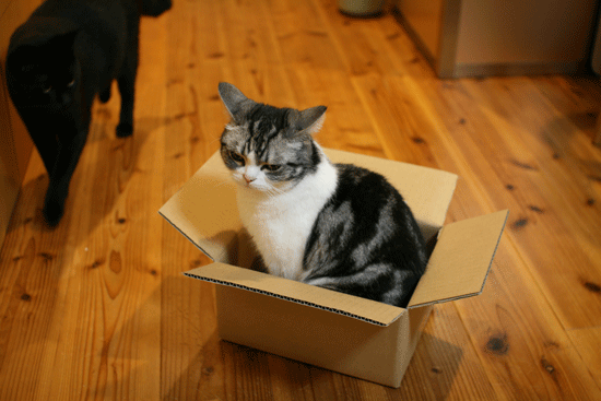 c0011300_14023311.gif